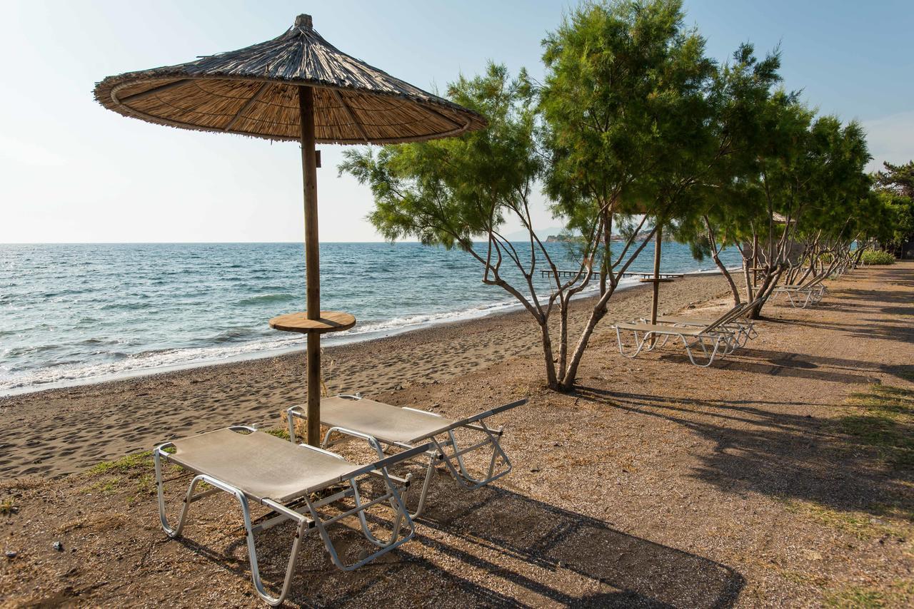 Delfinia Hotel & Bungalows Mythimna Exterior photo